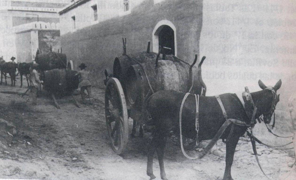 La bicentenaria historia de Bodegas Barbadillo