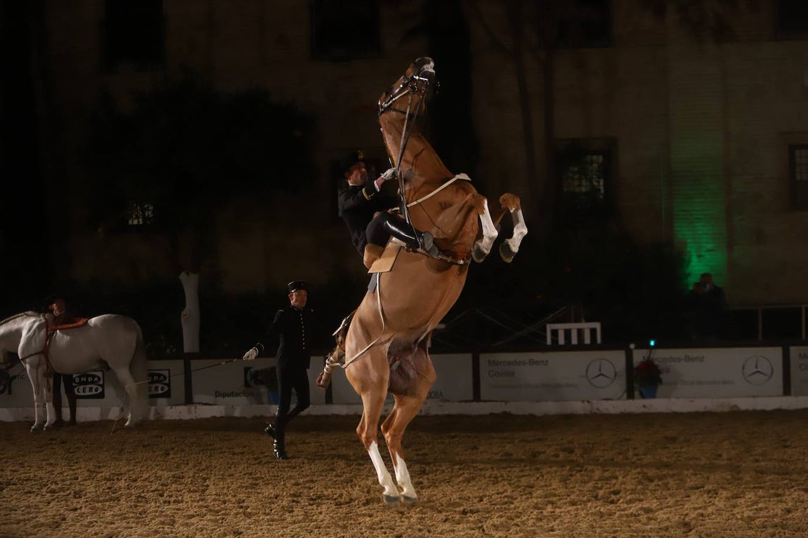 El espectáculo de Cadre Noir en Caballerizas Reales, en imágenes