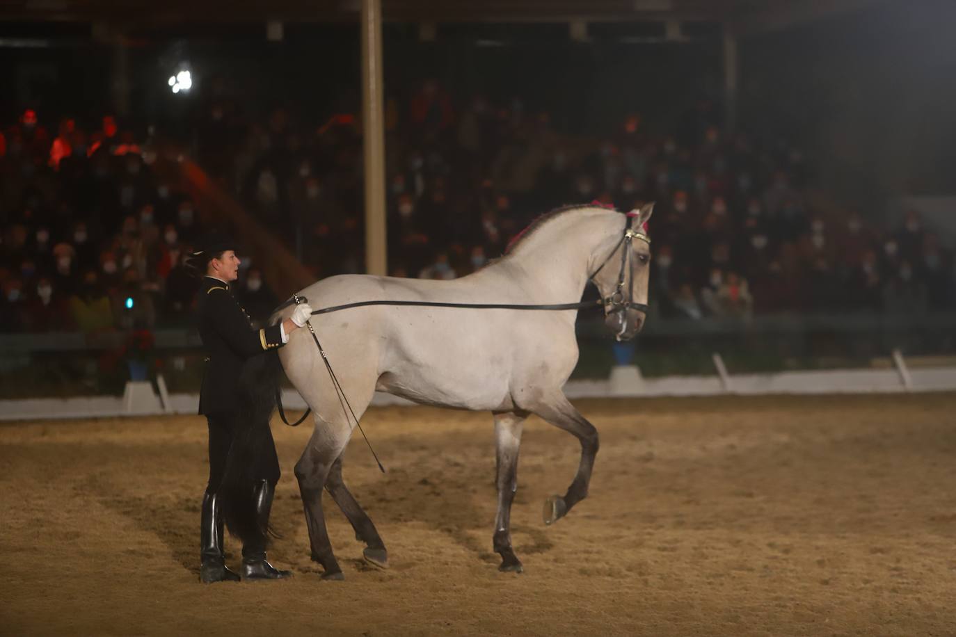 El espectáculo de Cadre Noir en Caballerizas Reales, en imágenes