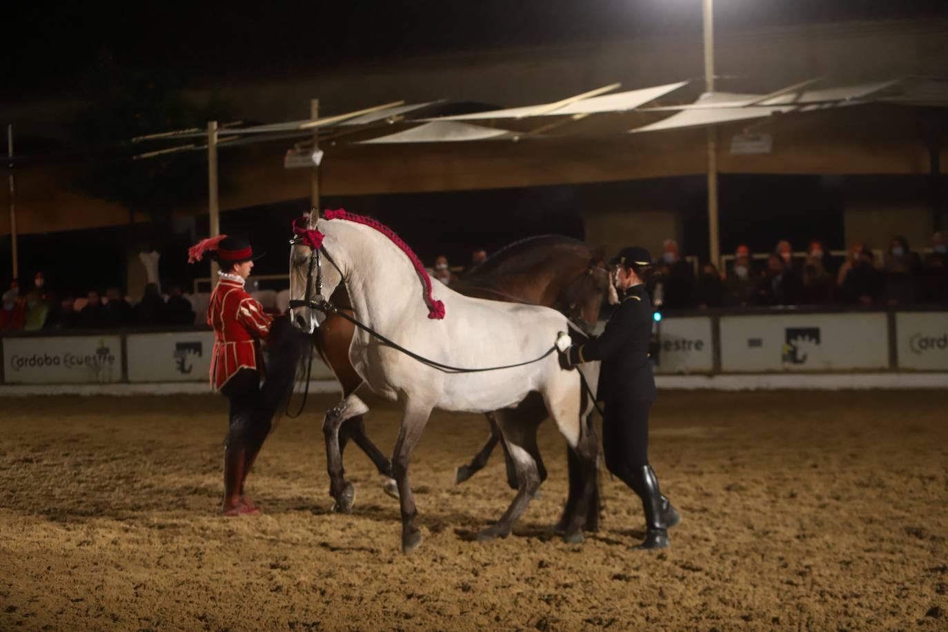 El espectáculo de Cadre Noir en Caballerizas Reales, en imágenes