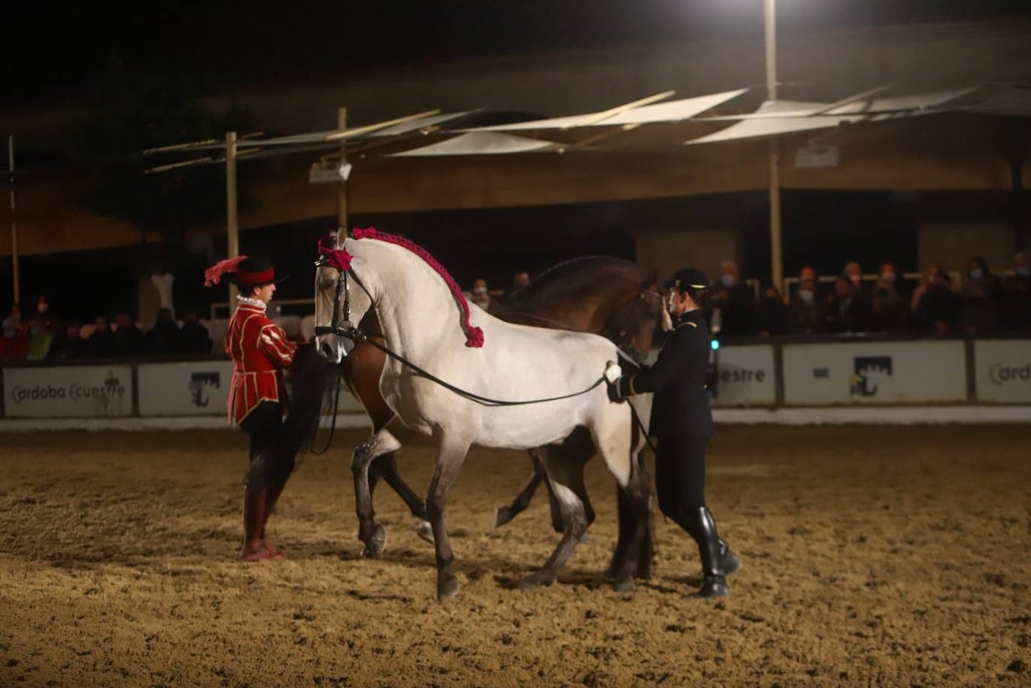 El espectáculo de Cadre Noir en Caballerizas Reales, en imágenes