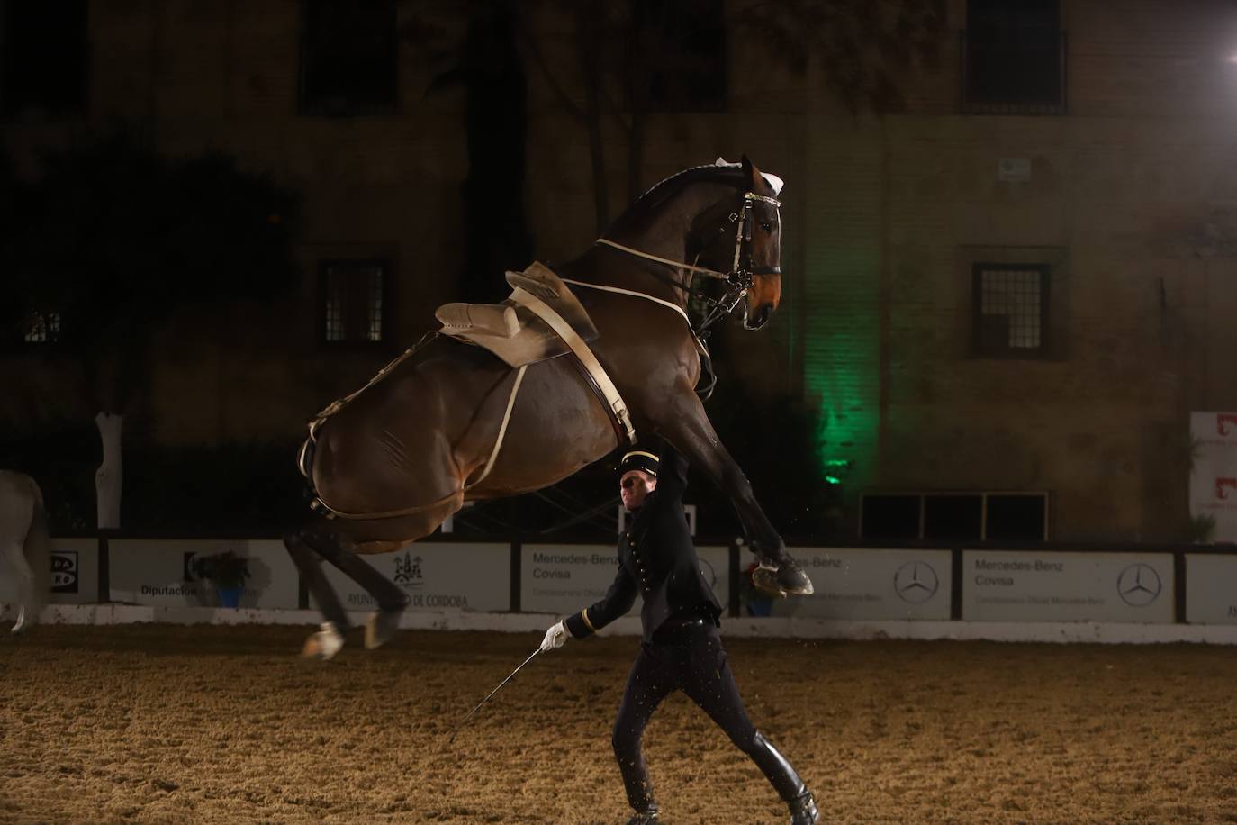 El espectáculo de Cadre Noir en Caballerizas Reales, en imágenes