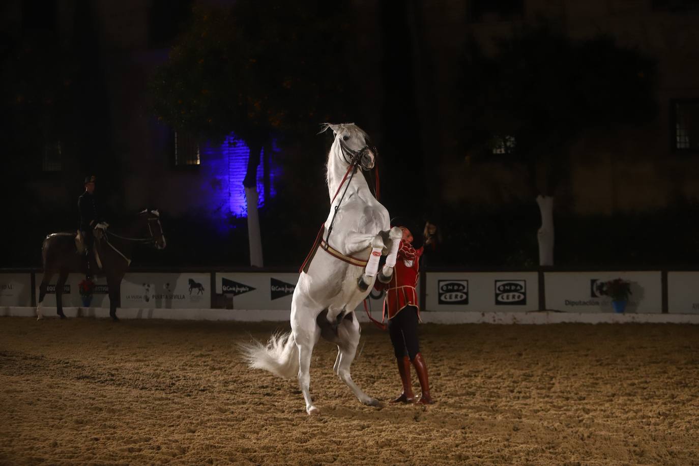 El espectáculo de Cadre Noir en Caballerizas Reales, en imágenes