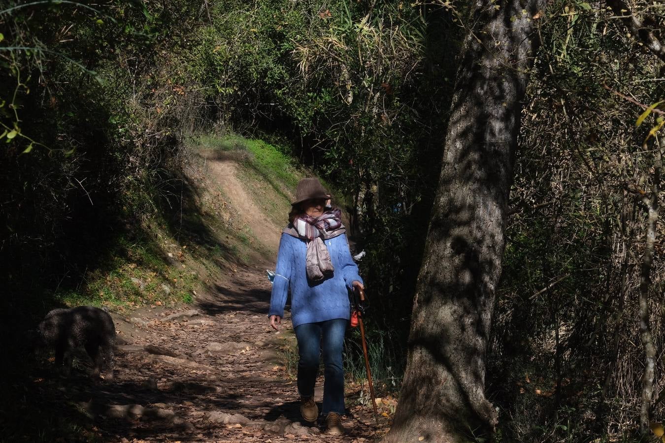 Fotos: La Sierra de Cádiz durante el Puente de Diciembre