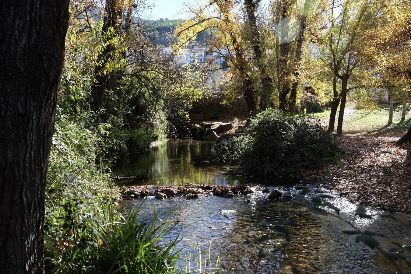 Fotos: La Sierra de Cádiz durante el Puente de Diciembre