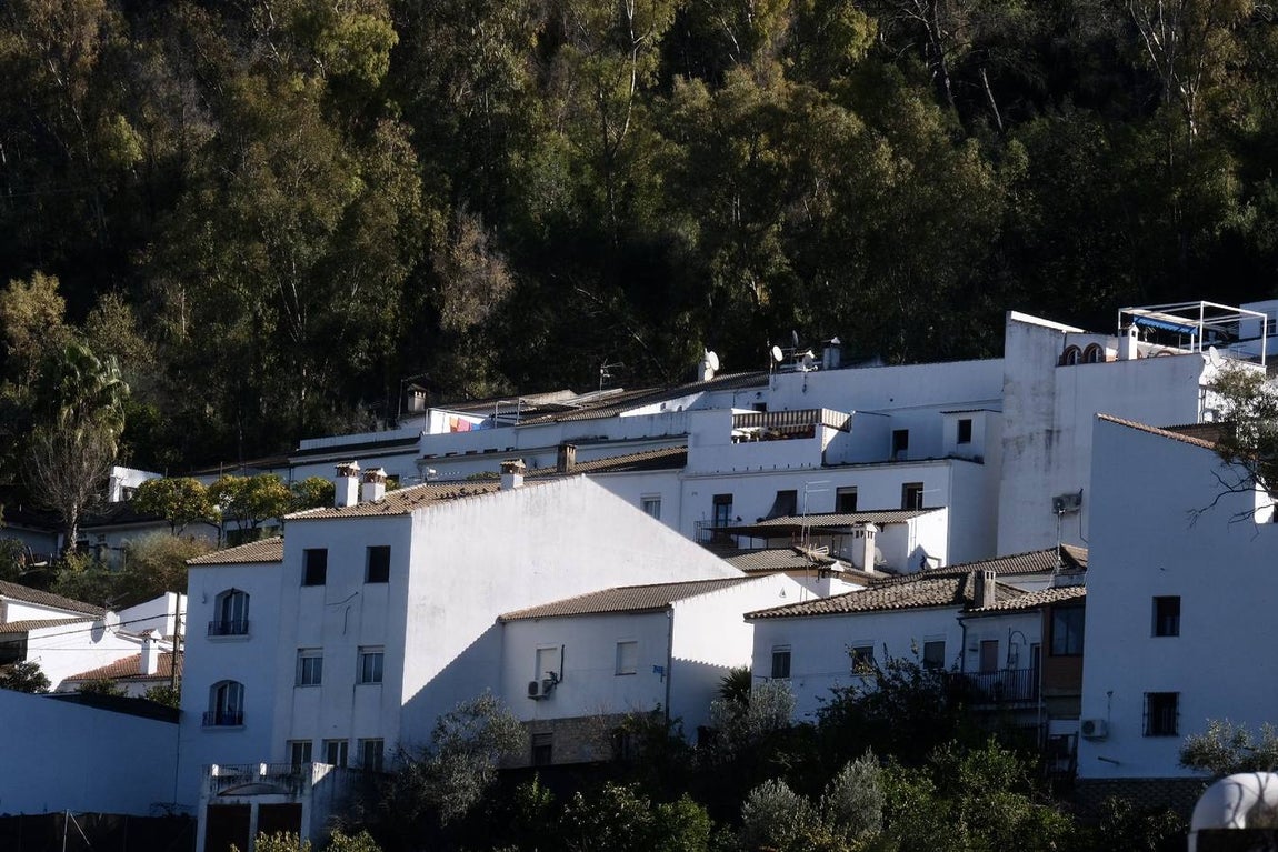 Fotos: La Sierra de Cádiz durante el Puente de Diciembre