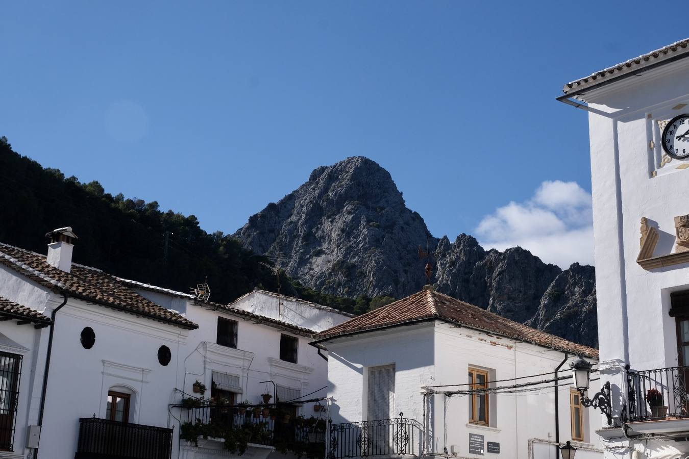 Fotos: La Sierra de Cádiz durante el Puente de Diciembre