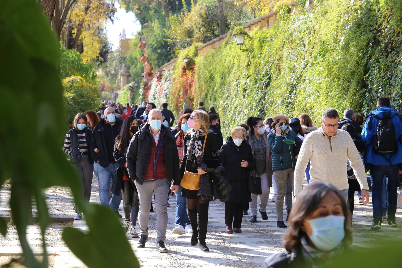 Multitud de sevillanos y turistas por las calles del Centro de Sevilla. ROCÍO RUZ