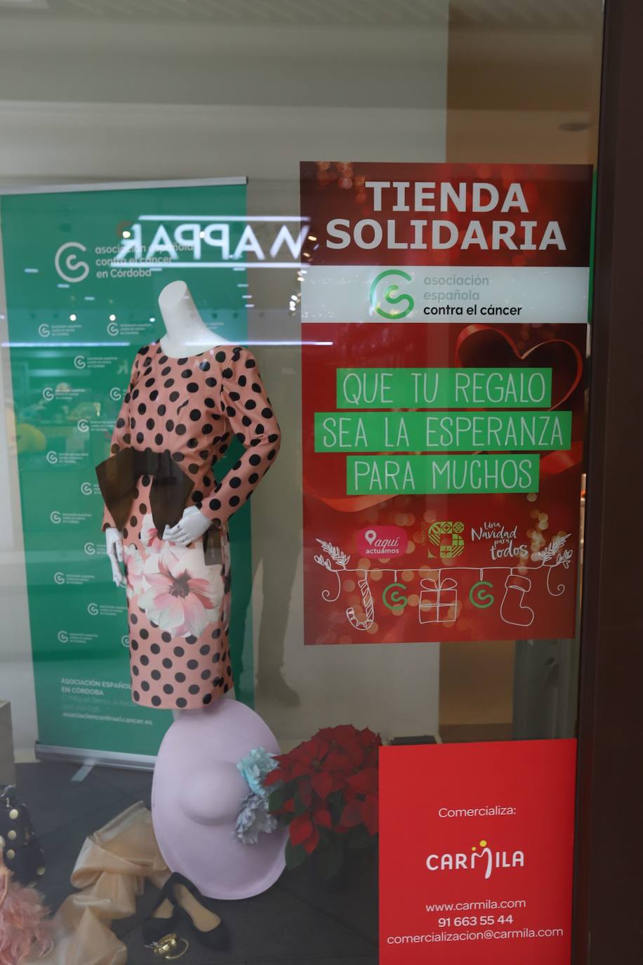 La inauguración de la tienda solidaria de la Asociación contra el Cáncer en Córdoba, en imágenes