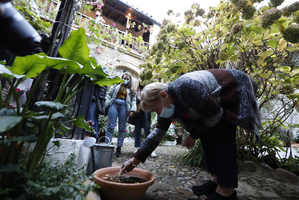 La apertura de los Patios de Córdoba en Navidad, en imágenes