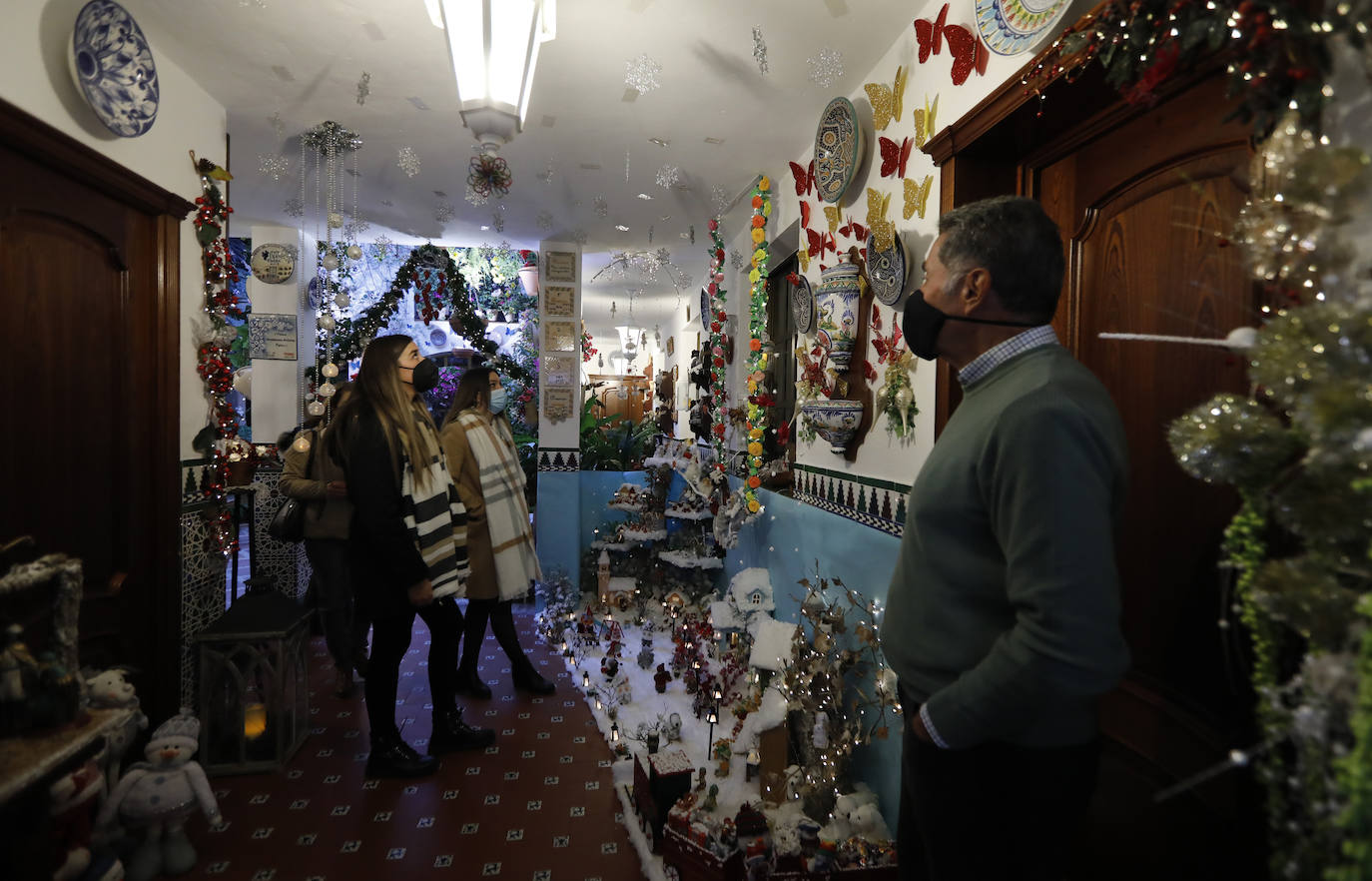 La apertura de los Patios de Córdoba en Navidad, en imágenes