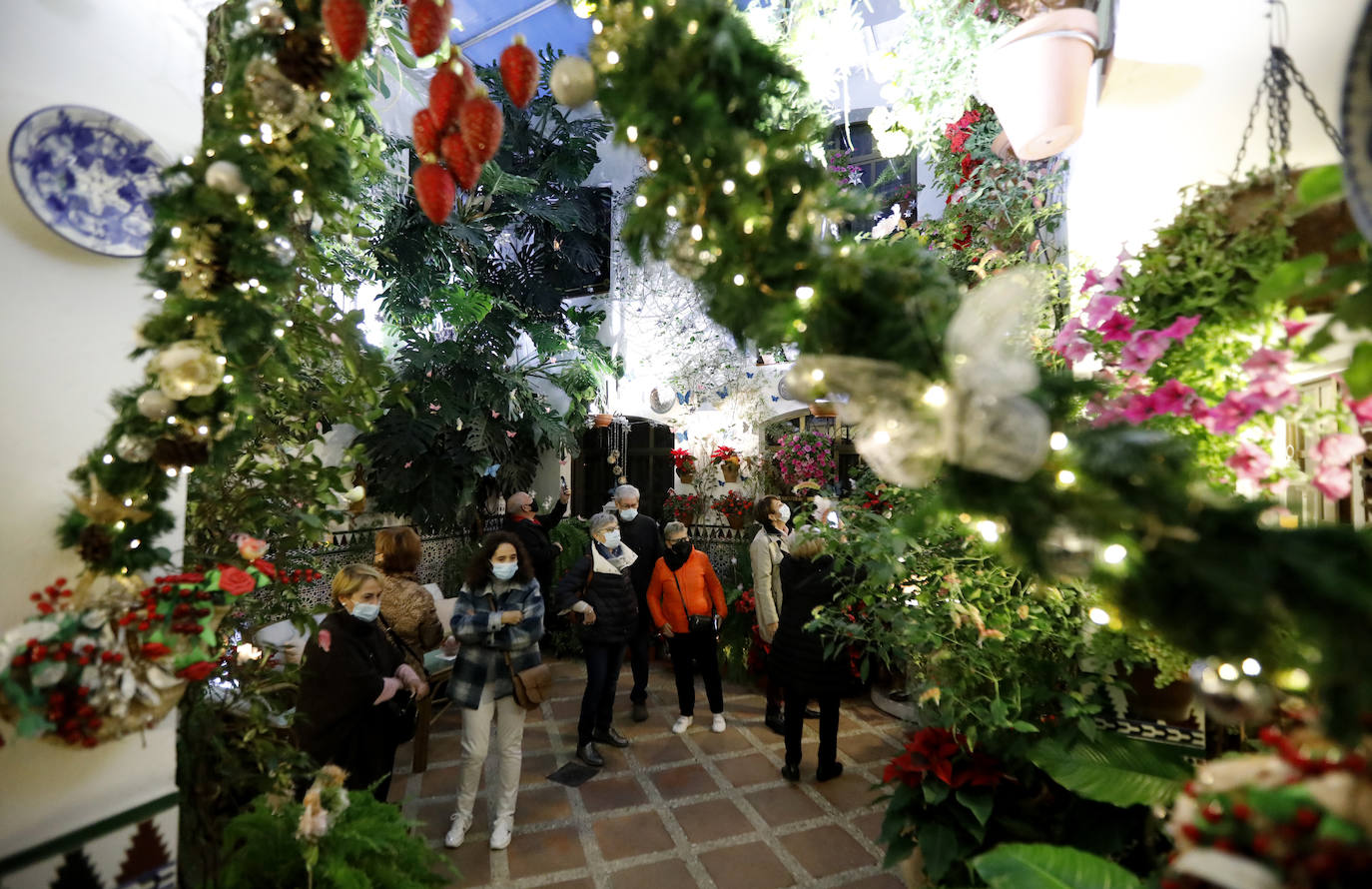 La apertura de los Patios de Córdoba en Navidad, en imágenes