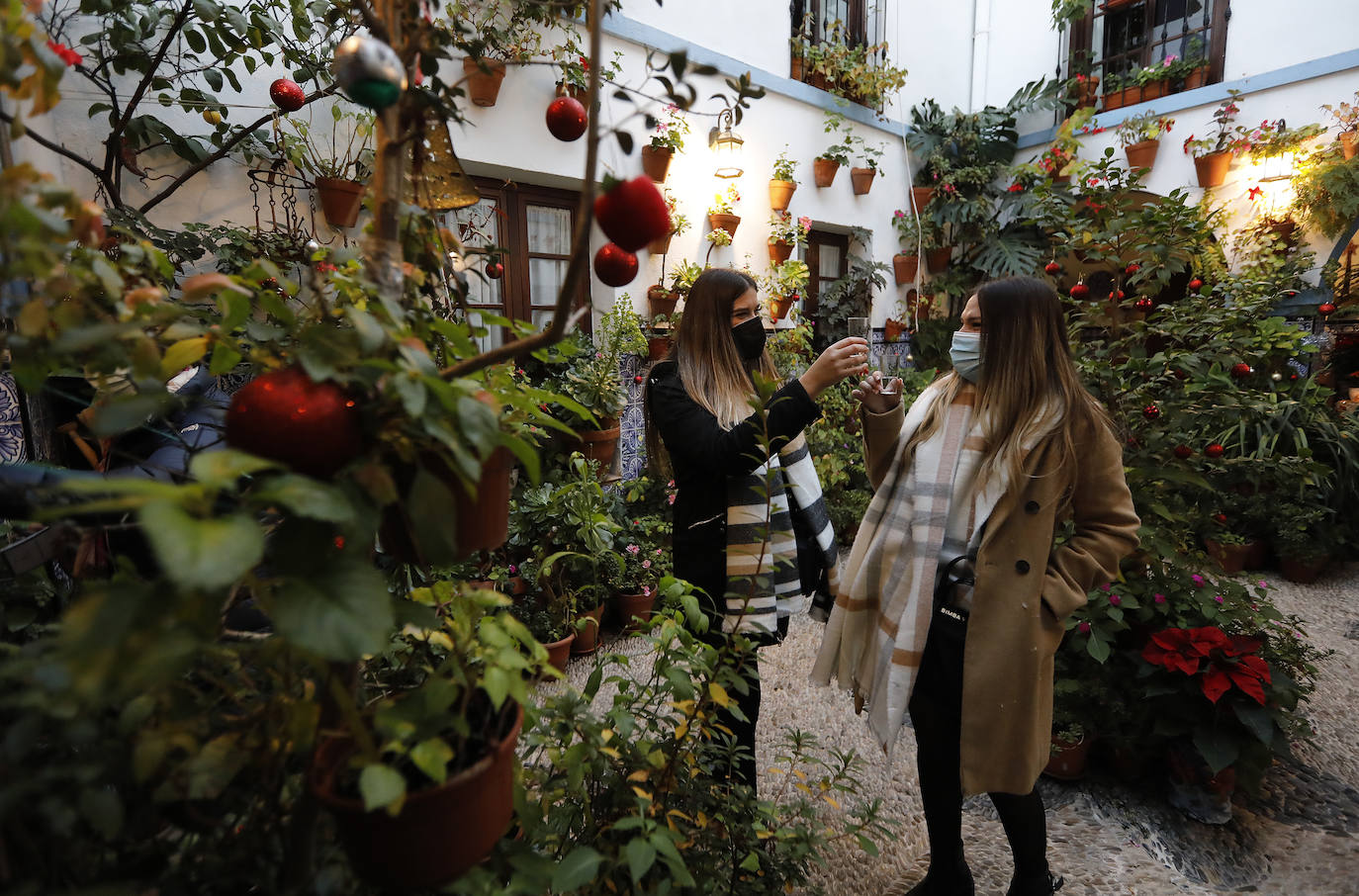 La apertura de los Patios de Córdoba en Navidad, en imágenes