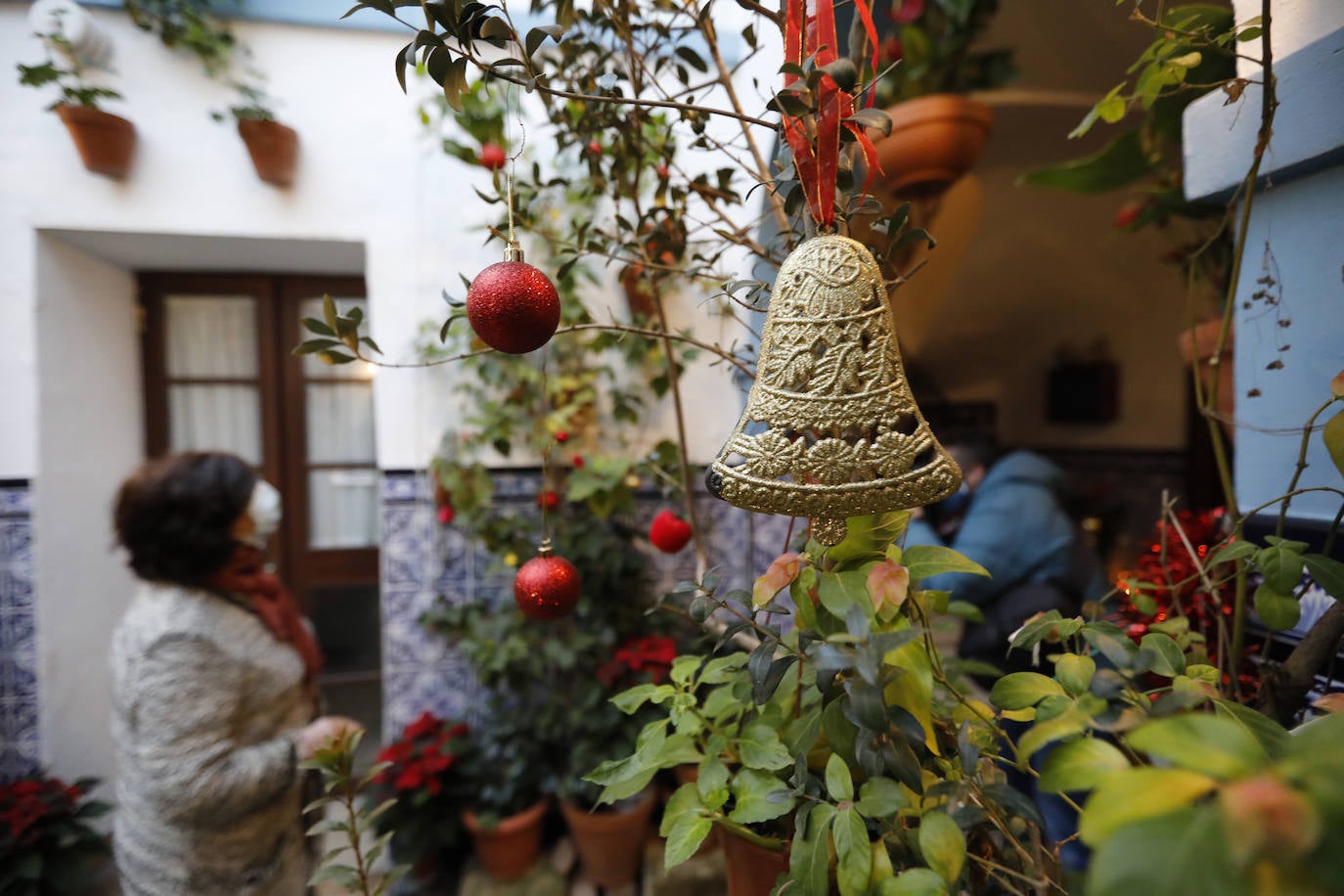 La apertura de los Patios de Córdoba en Navidad, en imágenes