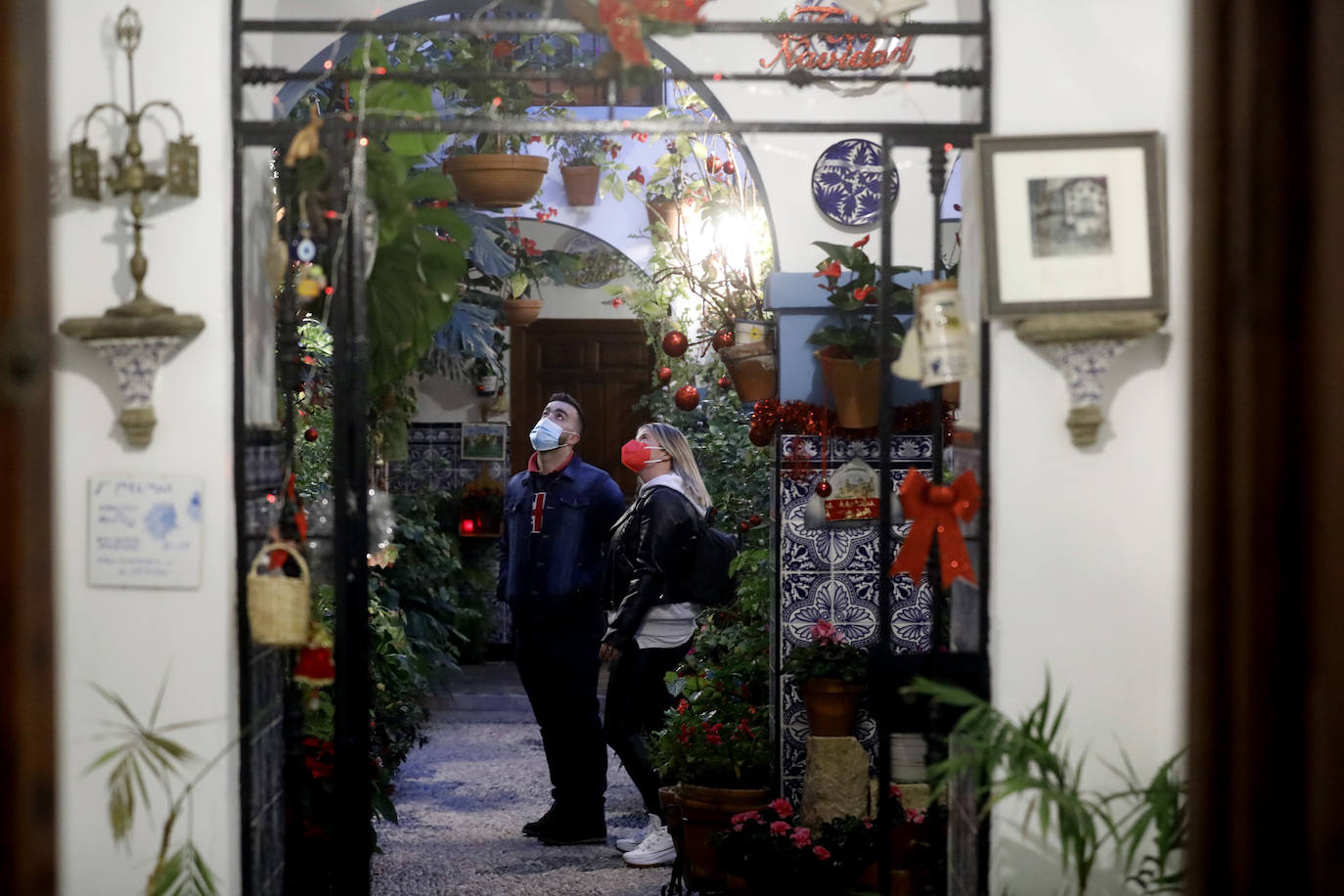 La apertura de los Patios de Córdoba en Navidad, en imágenes