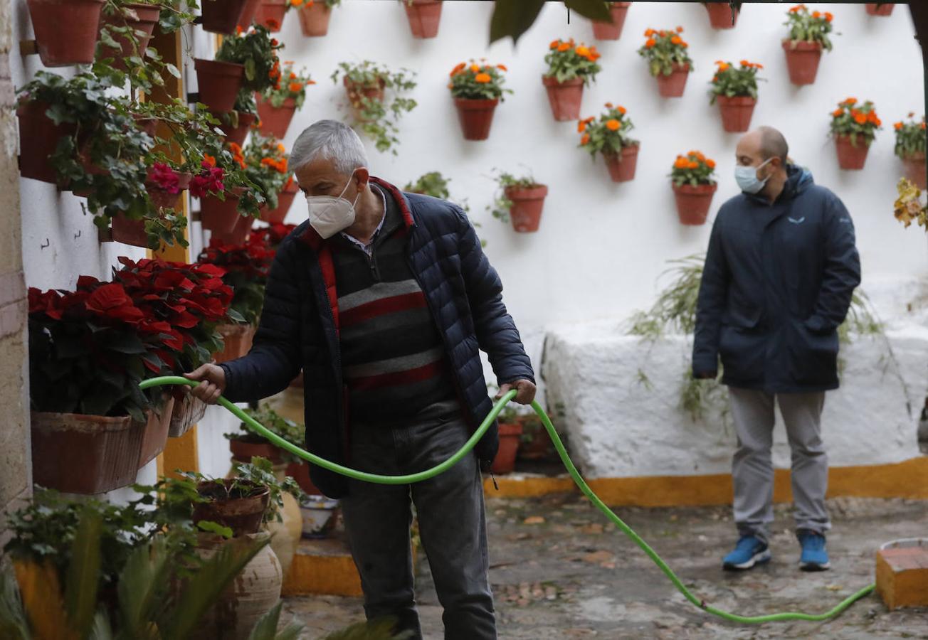 La apertura de los Patios de Córdoba en Navidad, en imágenes