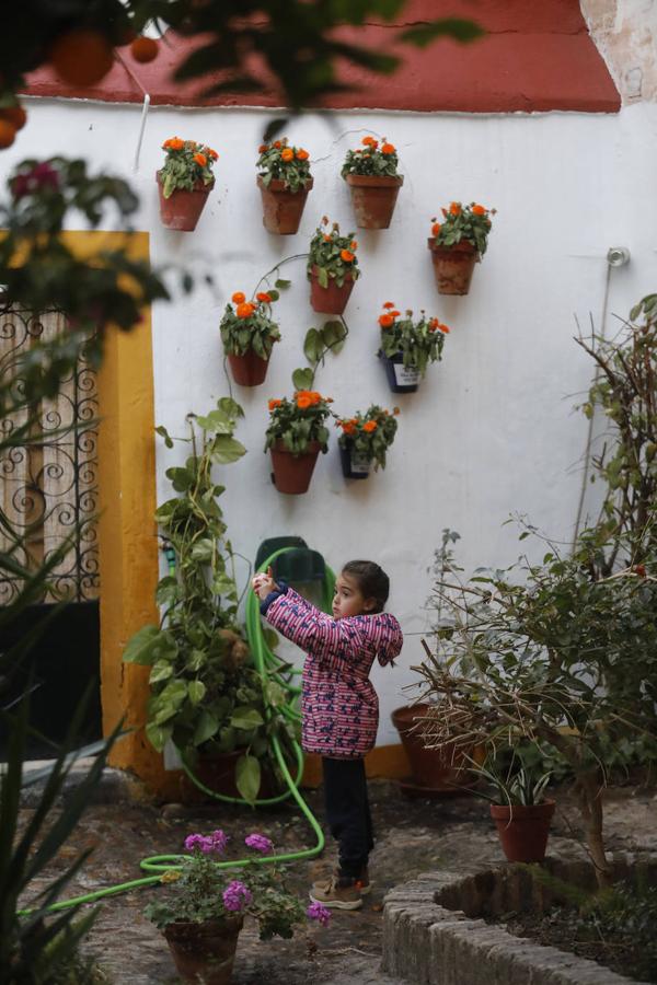 La apertura de los Patios de Córdoba en Navidad, en imágenes