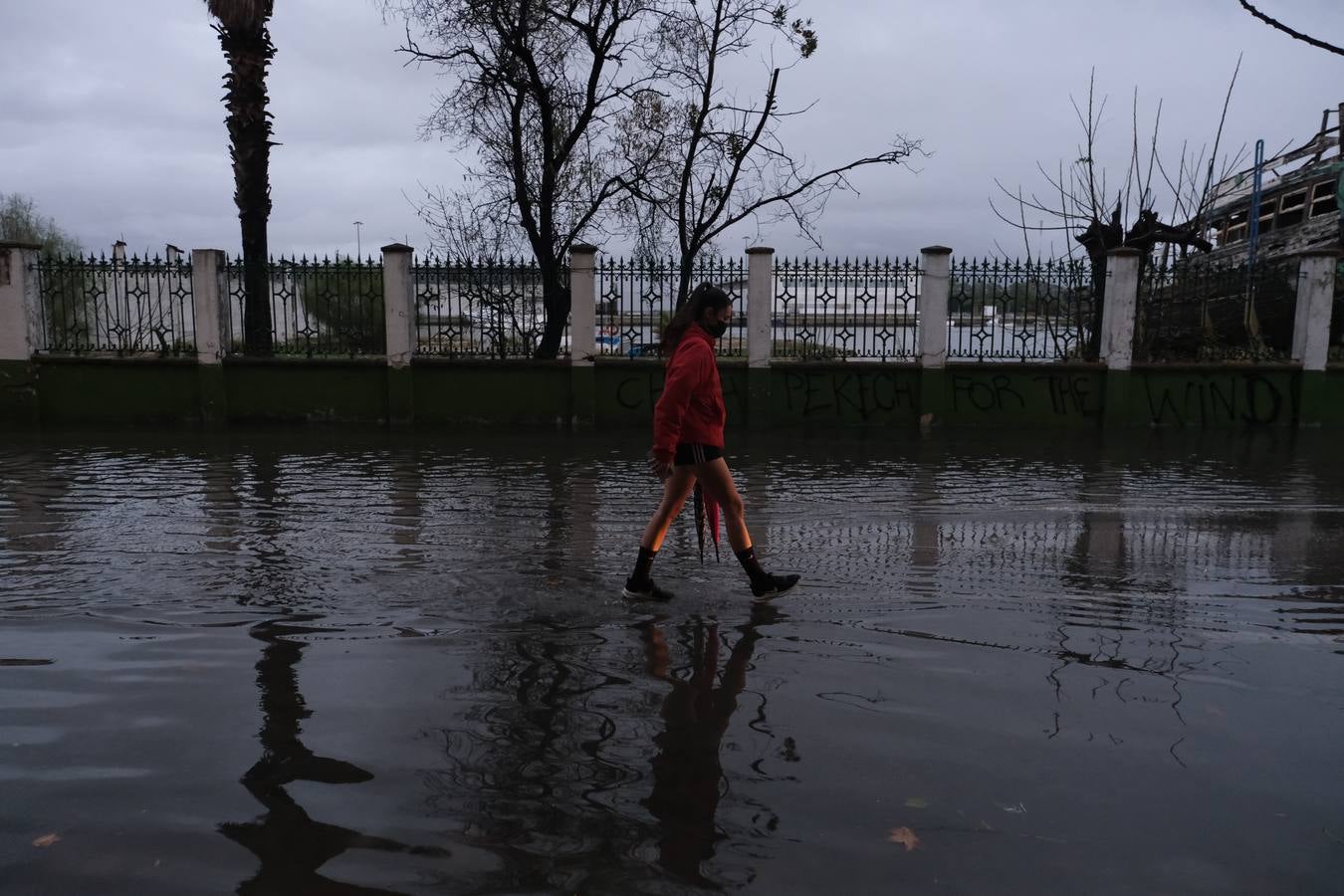 FOTOS: Calles anegadas y locales inundados tras la intensa lluvia en la provincia de Cádiz