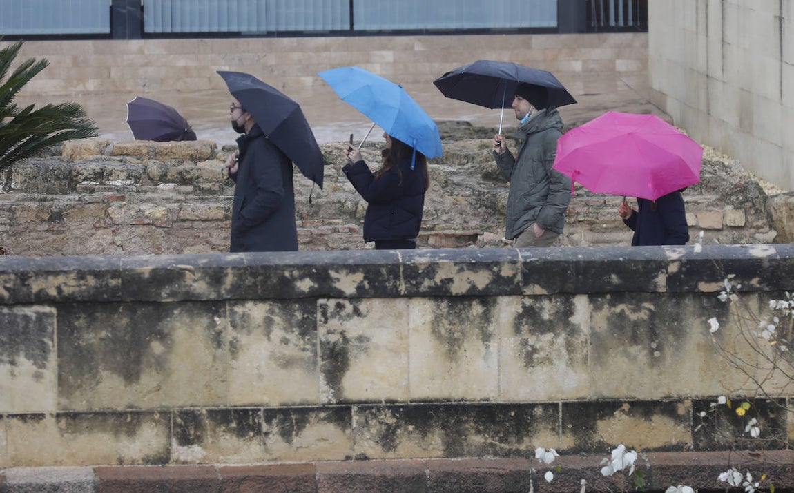 El impacto de las lluvias en el Guadalquivir en Córdoba, en imágenes