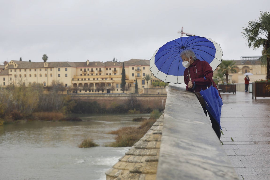 El impacto de las lluvias en el Guadalquivir en Córdoba, en imágenes