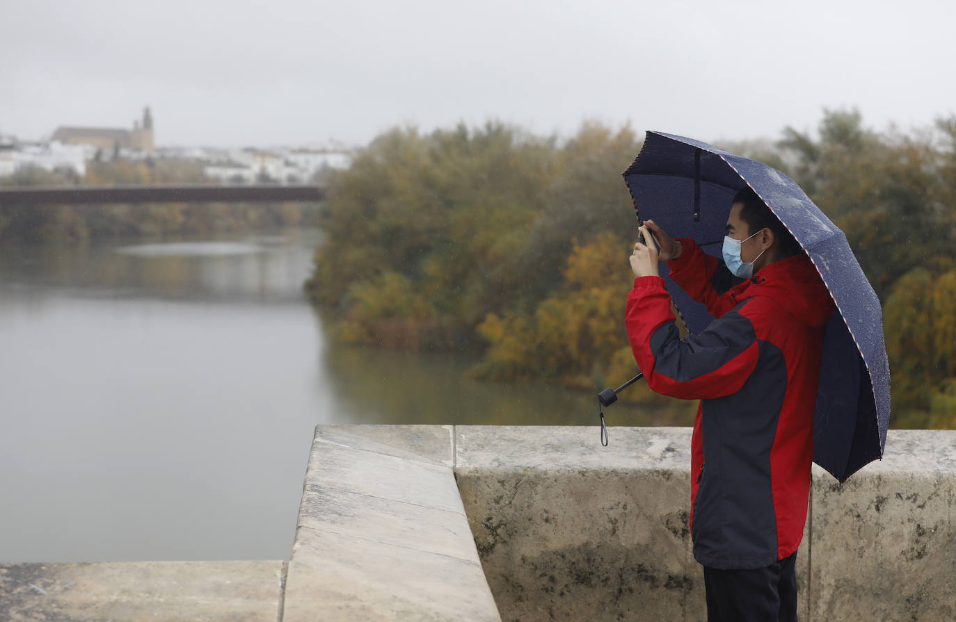 El impacto de las lluvias en el Guadalquivir en Córdoba, en imágenes