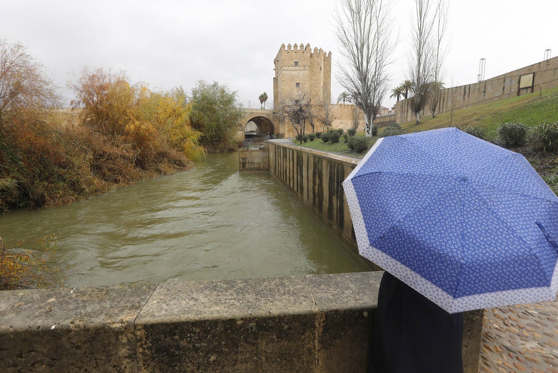 El impacto de las lluvias en el Guadalquivir en Córdoba, en imágenes