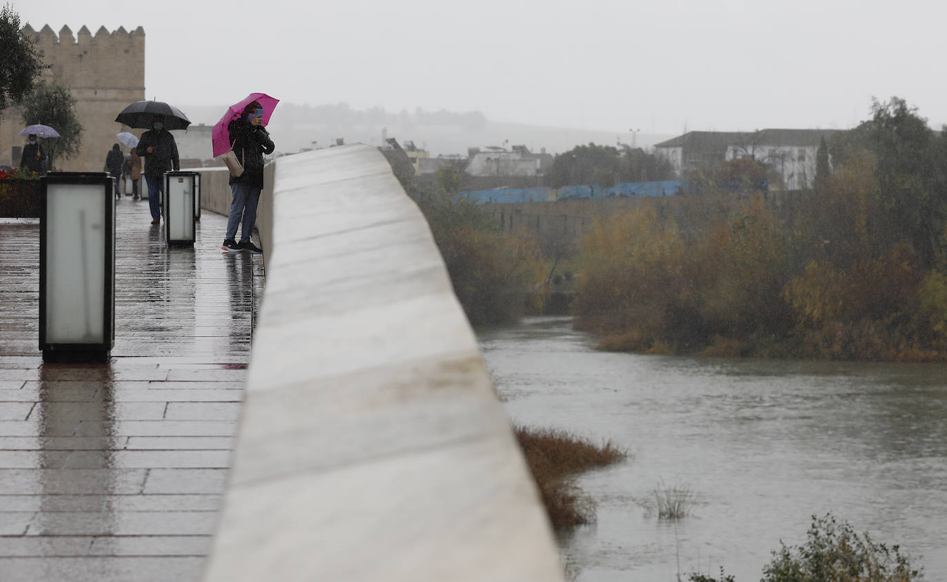 El impacto de las lluvias en el Guadalquivir en Córdoba, en imágenes