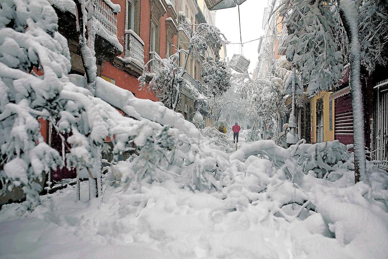 Y llegó después.. Cuando pasó la euforia inicial, la nieve ya no se tornó tan divertida. El fuerte temporal había dejado destrozos por toda la ciudad.