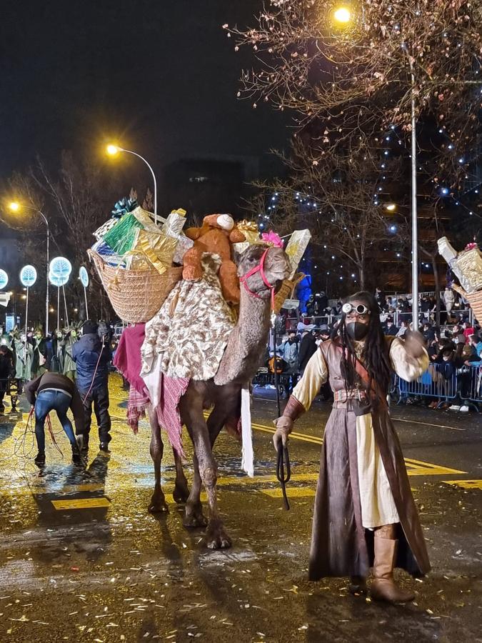 También han llegado los dromedarios. Uno de los tres dromedarios que acompañan al rey Baltasar