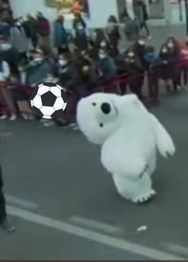 Los memes de la Cabalgata de Reyes Magos de Cádiz: un oso polar perjudicado da la vuelta al mundo