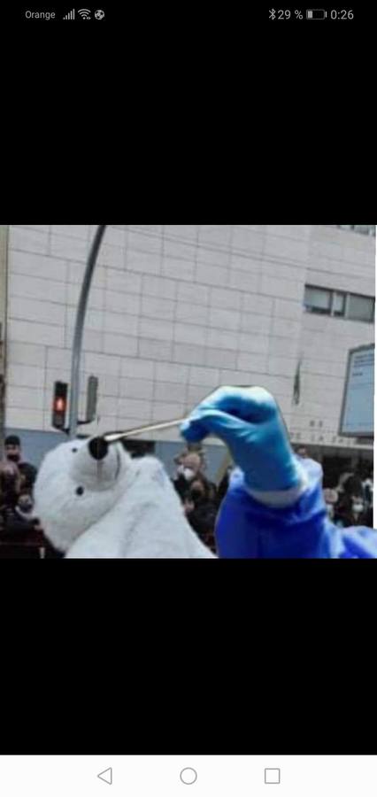 Los memes de la Cabalgata de Reyes Magos de Cádiz: un oso polar perjudicado da la vuelta al mundo