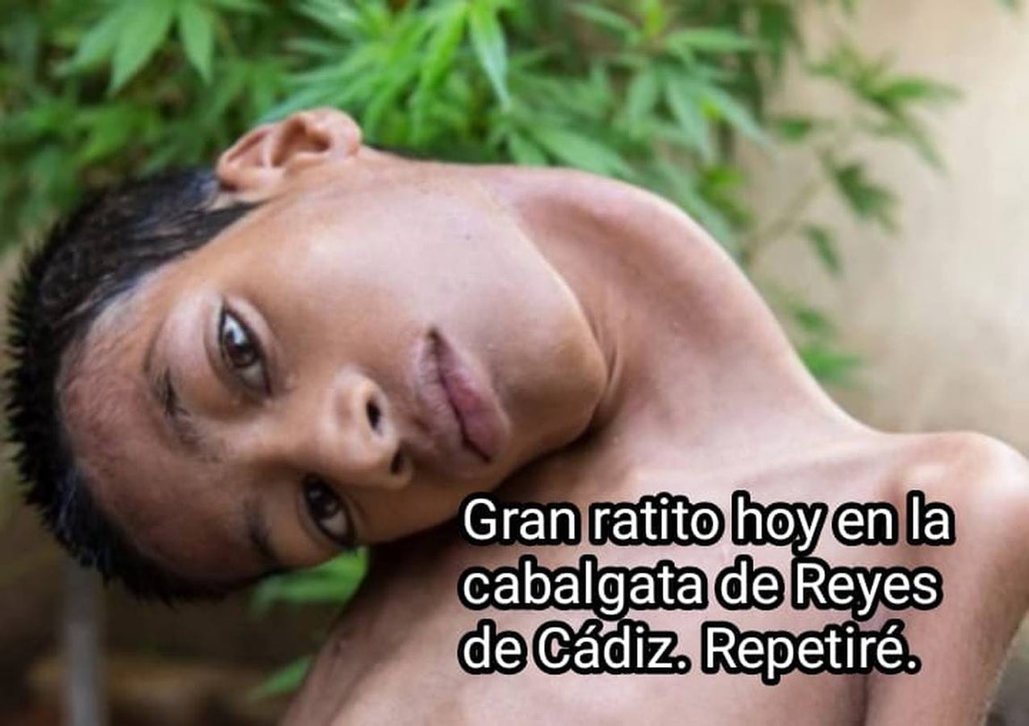 Los memes de la Cabalgata de Reyes Magos de Cádiz: un oso polar perjudicado da la vuelta al mundo