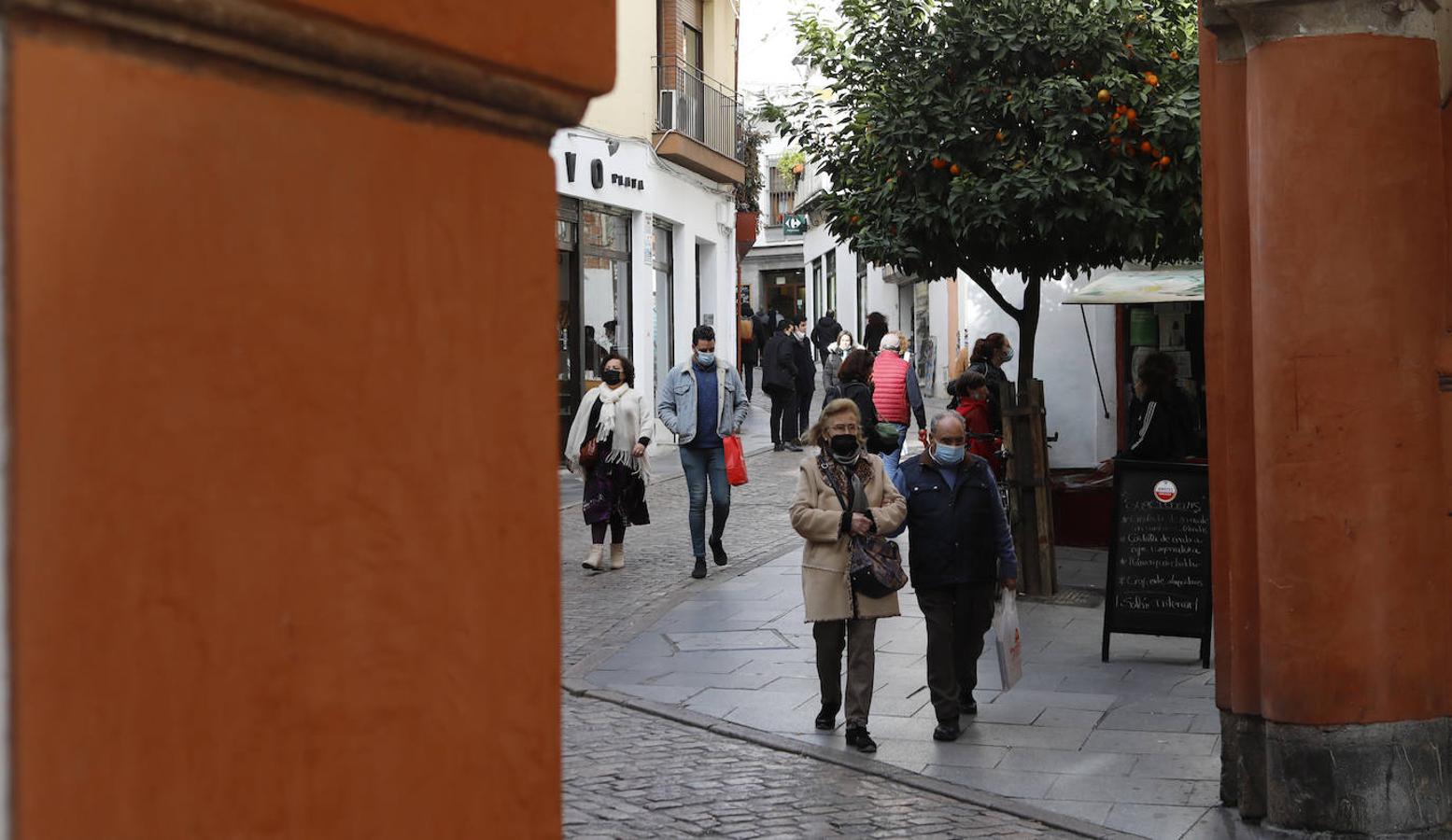 La plaza de la Corredera de Córdoba, en imágenes (II)