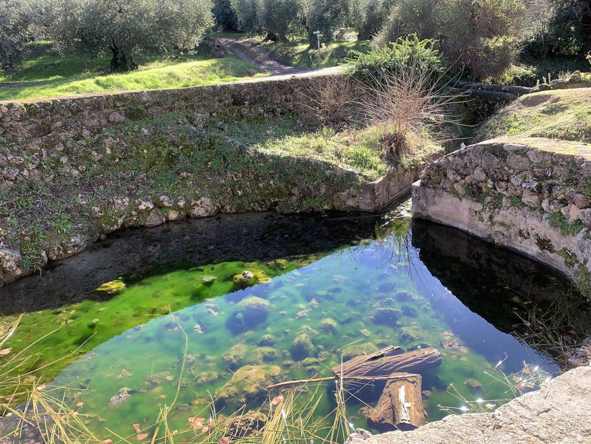 Las fuentes y manantiales de la Subbética de Córdoba, en imágenes