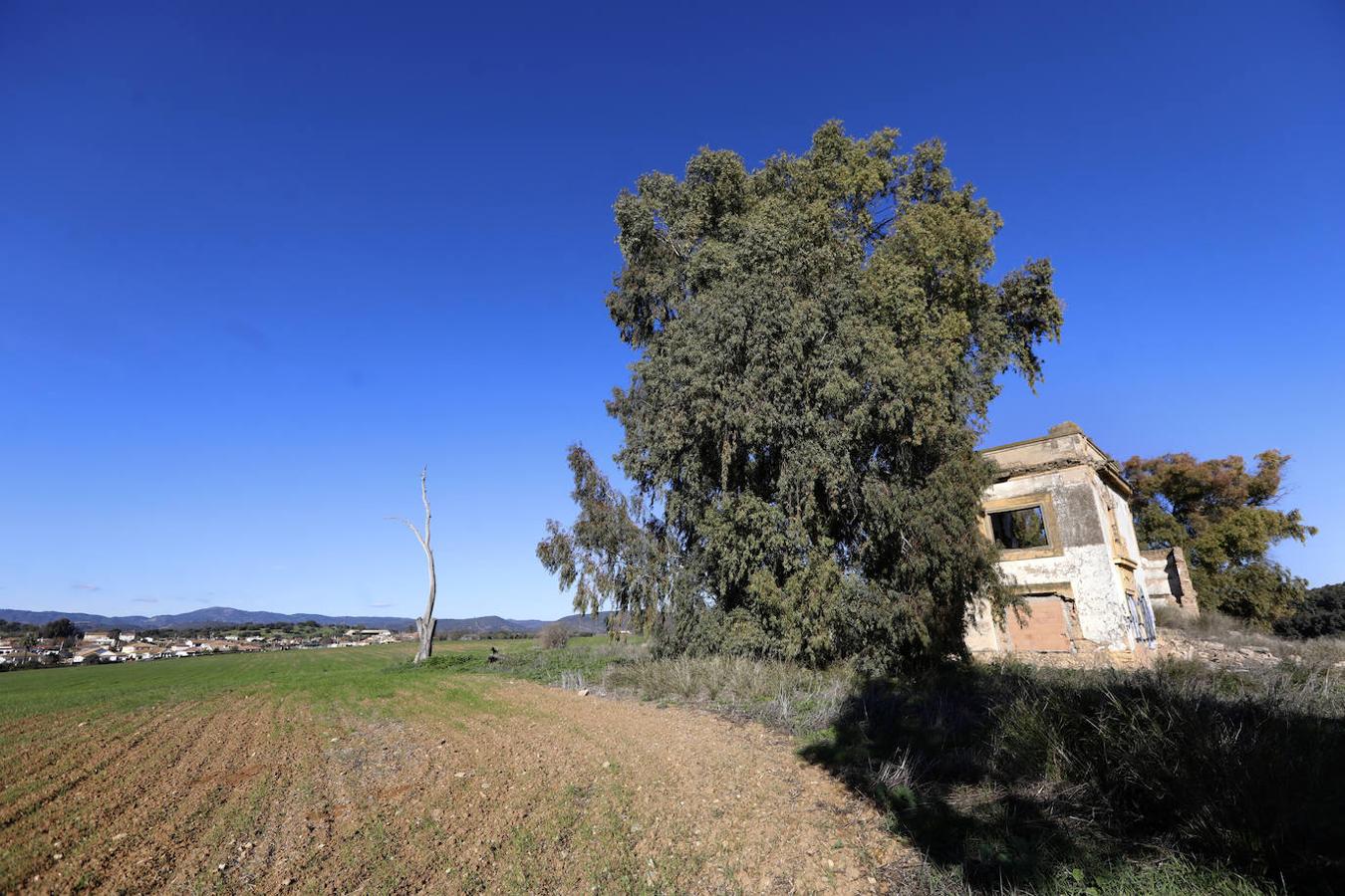 La huella del PGOU en Córdoba, en imágenes (II)