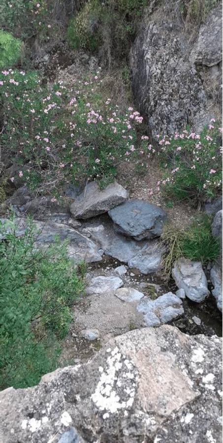 El patrimonio en peligro de Córdoba, en imágenes