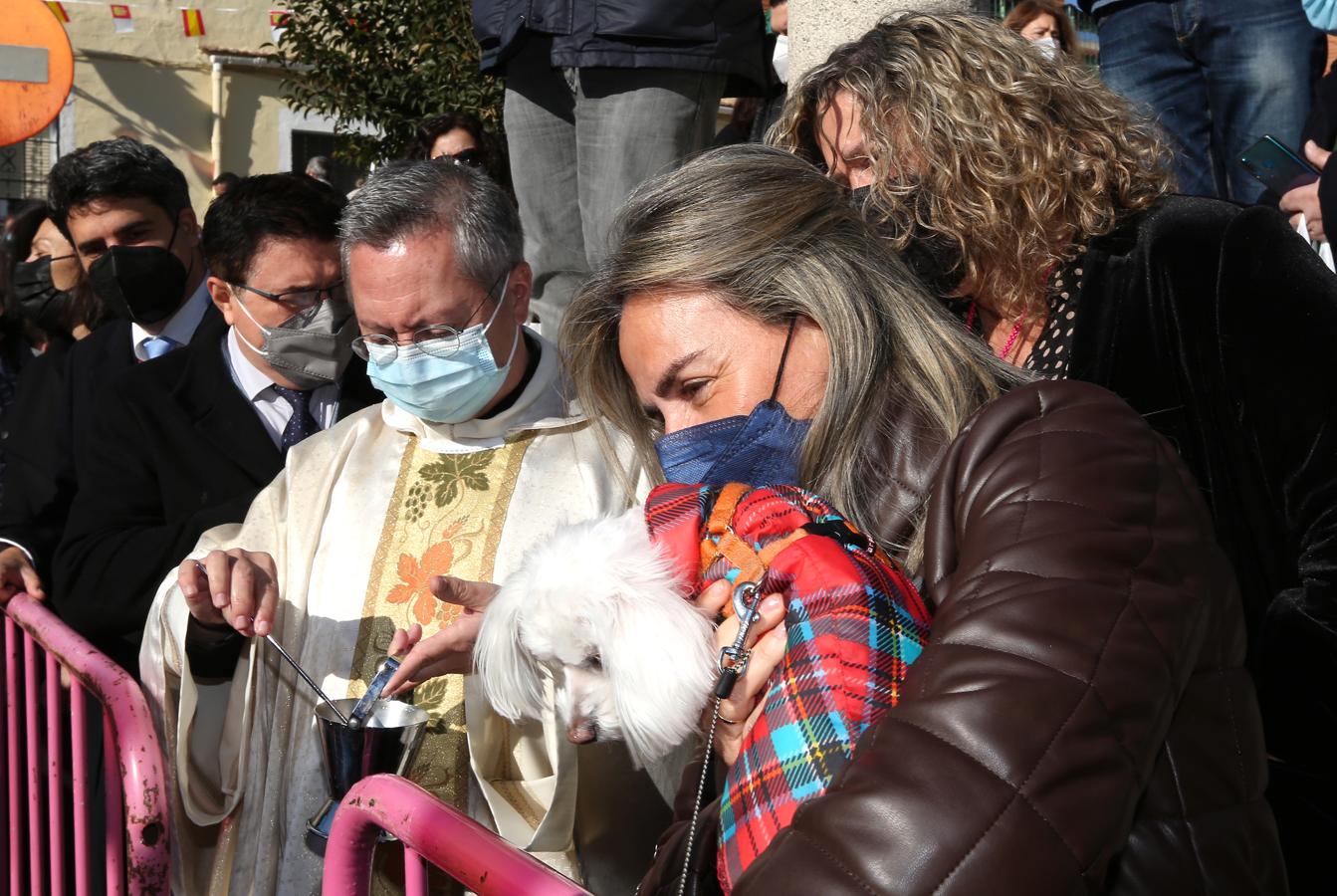 Vuelve la celebración de San Antón a Toledo