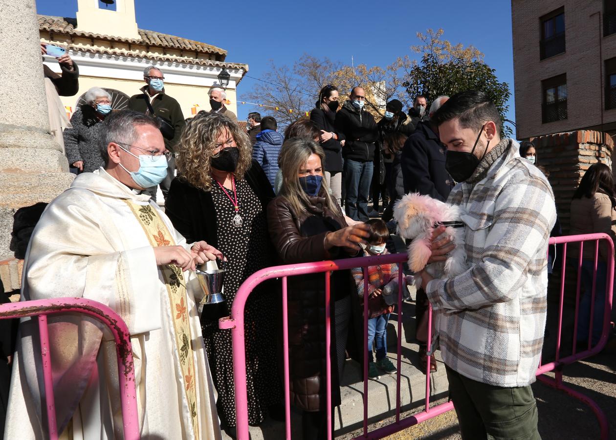 Vuelve la celebración de San Antón a Toledo