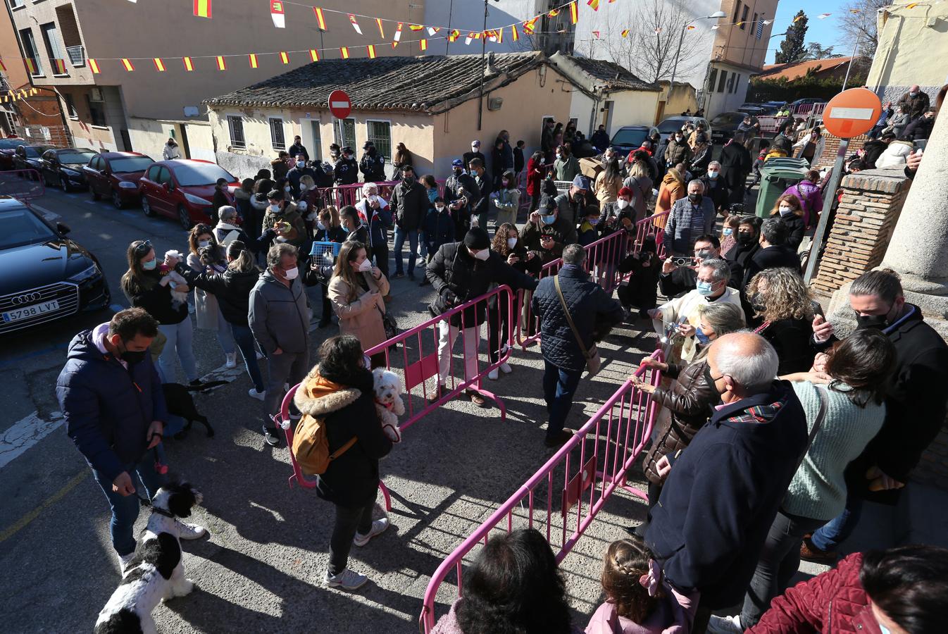 Vuelve la celebración de San Antón a Toledo