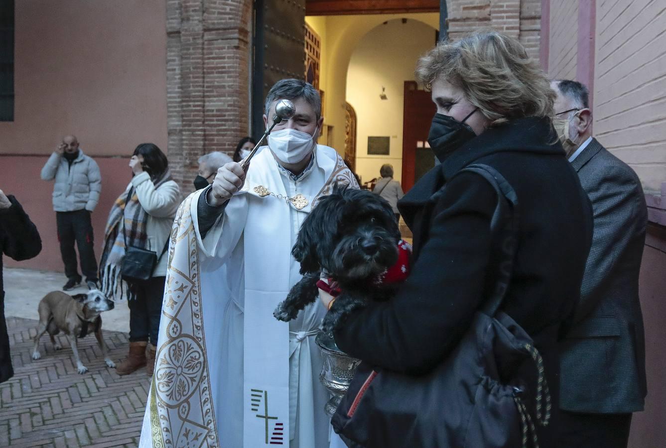 Bendición de animales en la parroquia de San Vicente por el día de San Antón