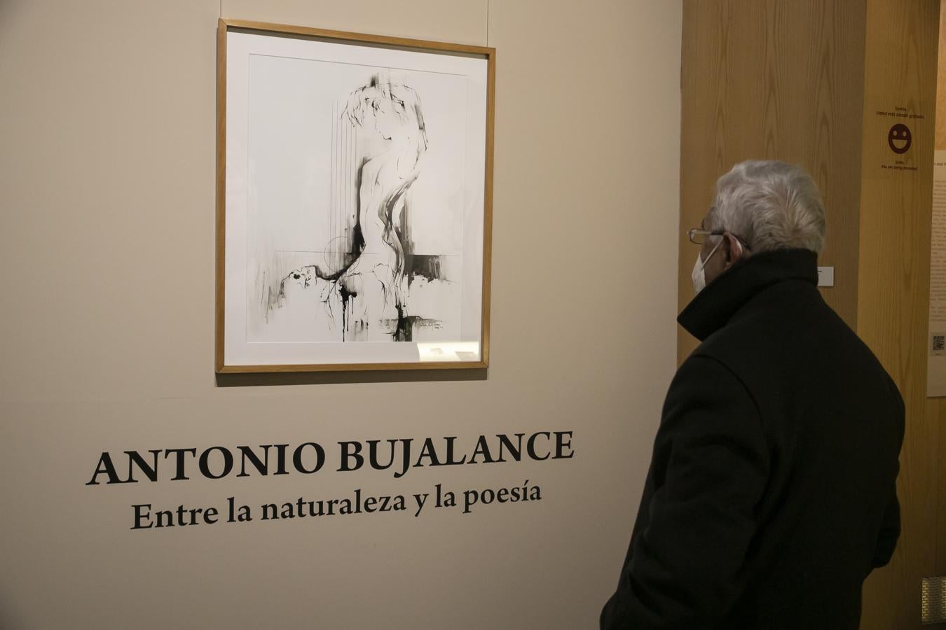 La exposición &#039;Donación Antonio Bujalance&#039; en Córdoba, en imágenes