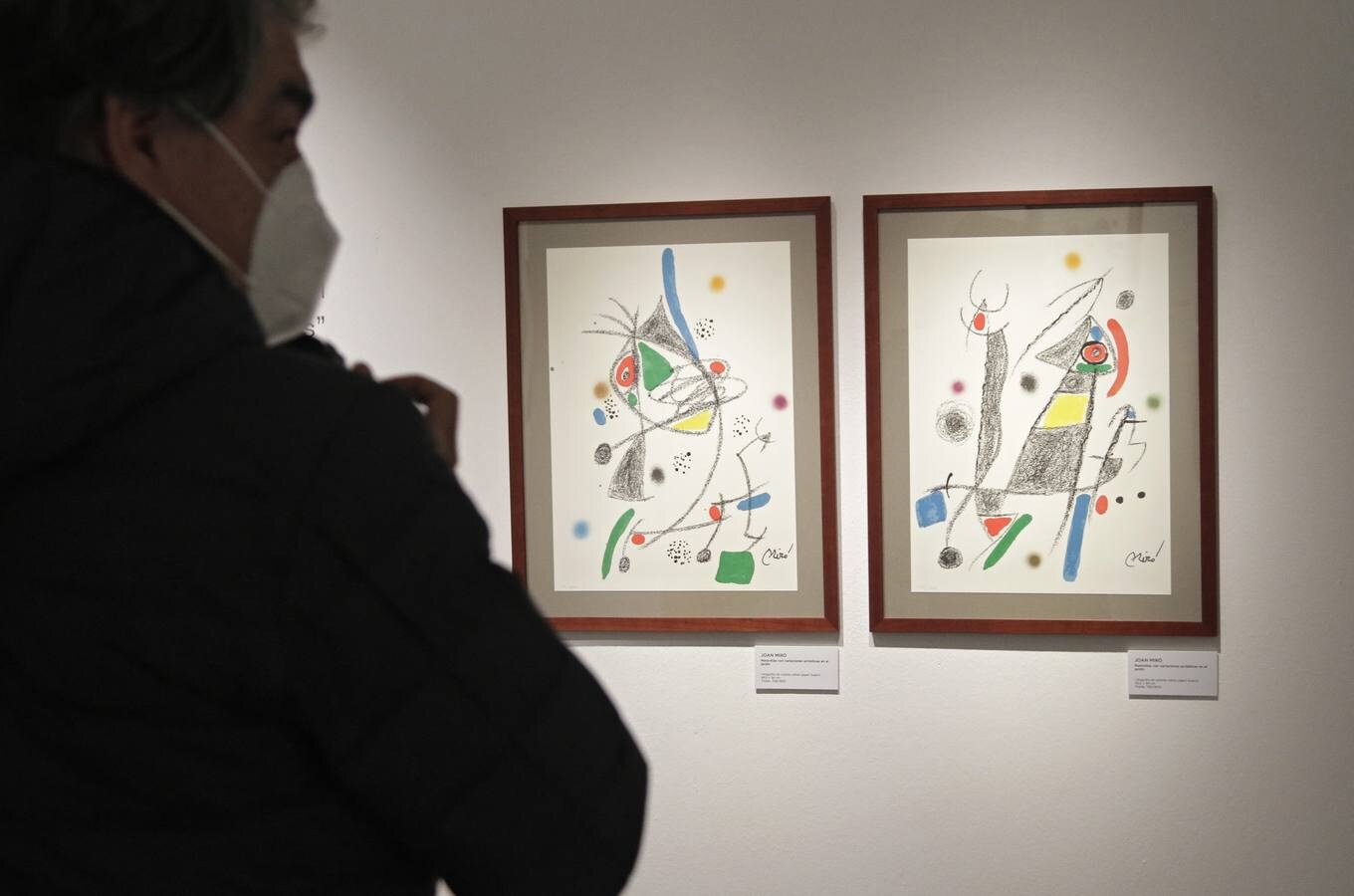 Los lazos de lo literario y lo pictórico en Picasso, Miró y Dalí, ahora en Cajasol