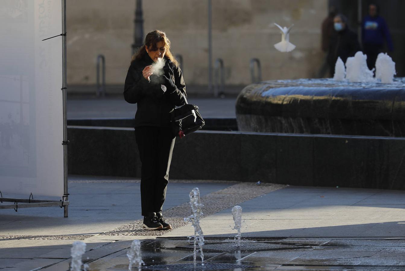 El frío invernal de enero en las calles de Córdoba, en imágenes