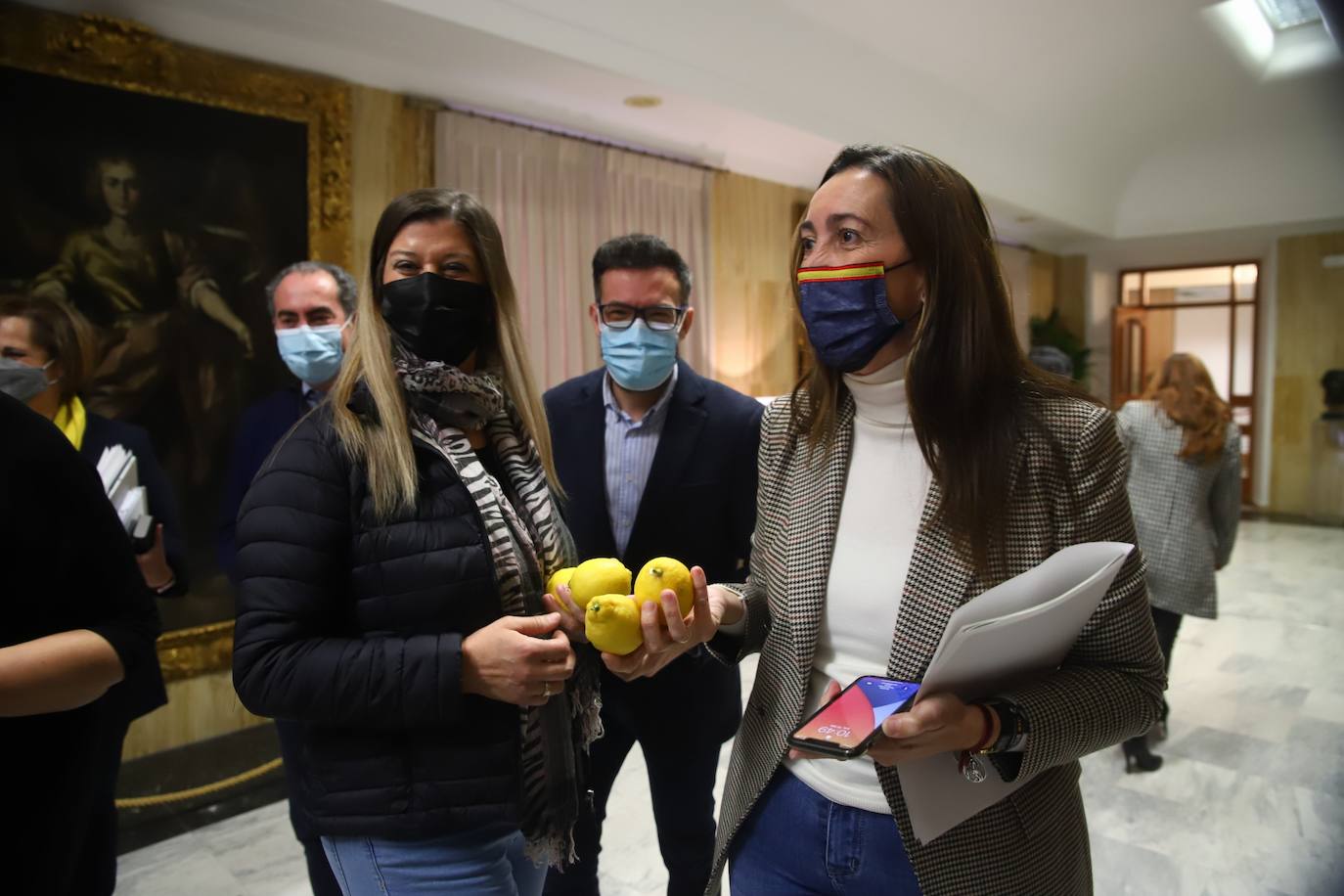 El Pleno del Ayuntamiento de Córdoba, en imágenes