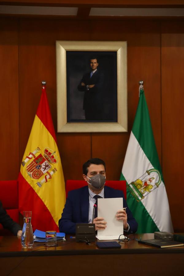 El Pleno del Ayuntamiento de Córdoba, en imágenes