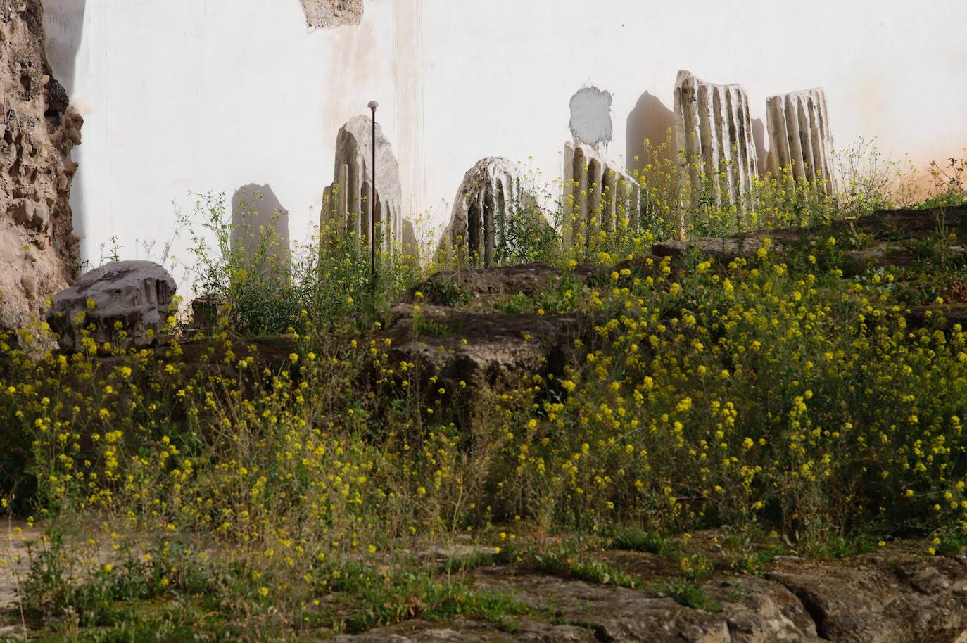 El descuido del Templo Romano de Córdoba, en imágenes