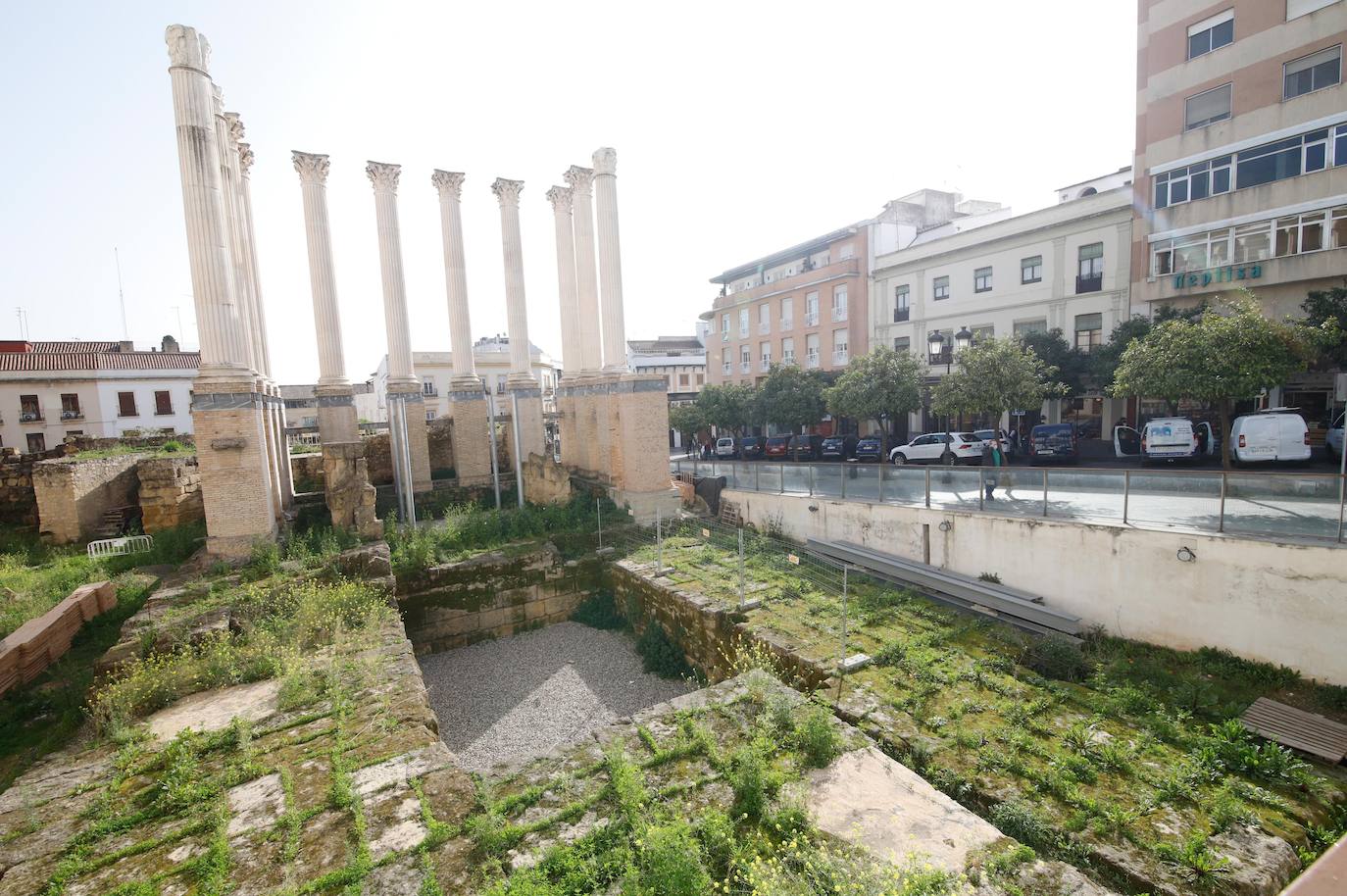 El descuido del Templo Romano de Córdoba, en imágenes