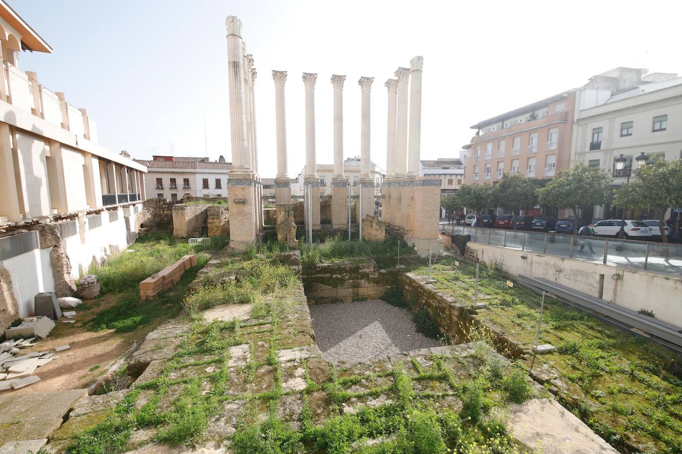 El descuido del Templo Romano de Córdoba, en imágenes