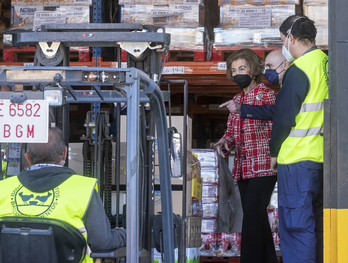 En imágenes, la visita de Doña Sofía a Bancosol en Málaga