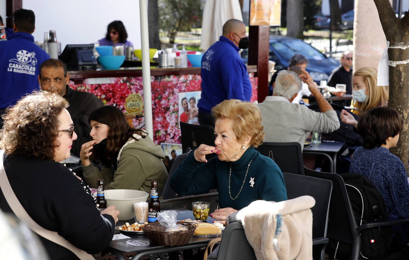 El inicio de la temporada de caracoles en Córdoba, en imágenes